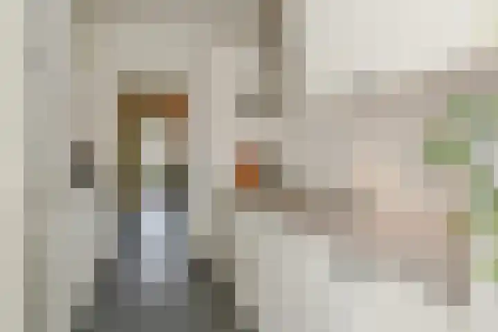 Karel de Grotelaan 275 Eindhoven thumbnail 14