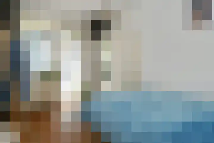 Karel de Grotelaan 275 Eindhoven thumbnail 16