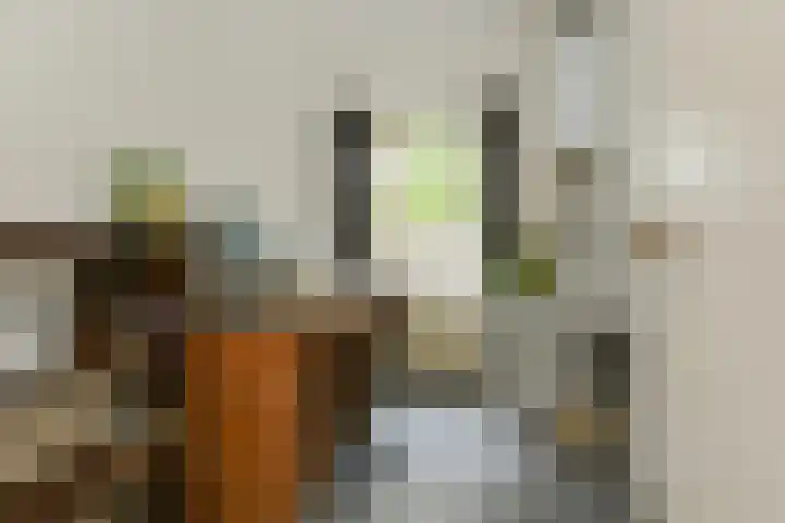 Karel de Grotelaan 275 Eindhoven thumbnail 18