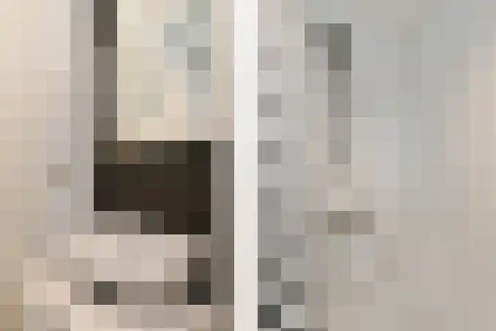 Karel de Grotelaan 275 Eindhoven thumbnail 19