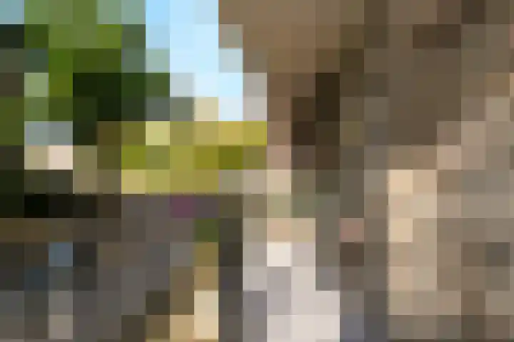 Karel de Grotelaan 275 Eindhoven thumbnail 20