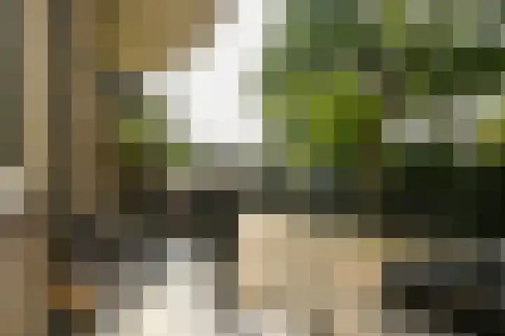 Karel de Grotelaan 275 Eindhoven thumbnail 21