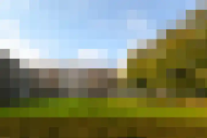 Karel de Grotelaan 275 Eindhoven thumbnail 23