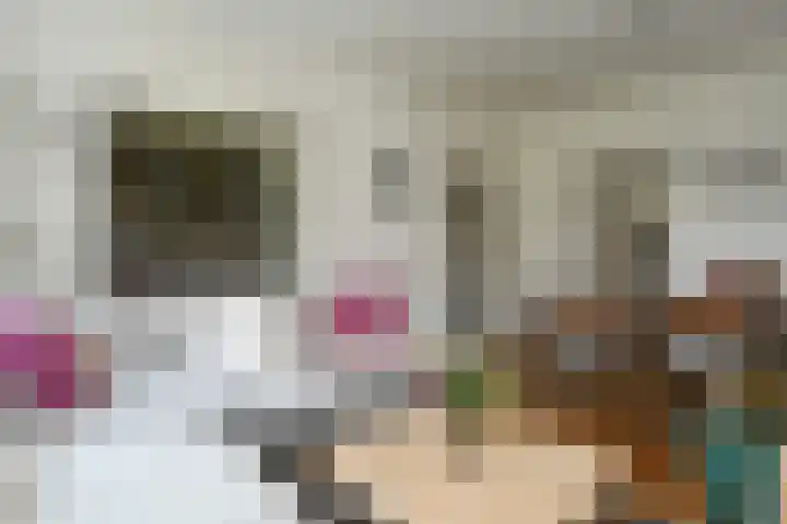 Karel de Grotelaan 275 Eindhoven thumbnail 4