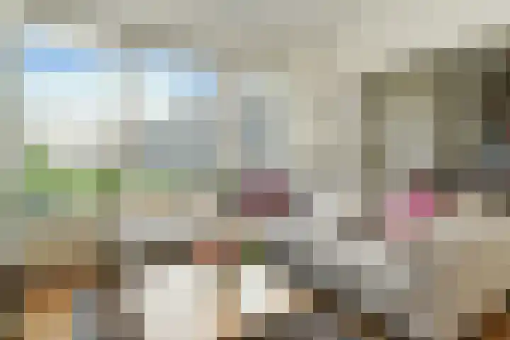 Karel de Grotelaan 275 Eindhoven thumbnail 5