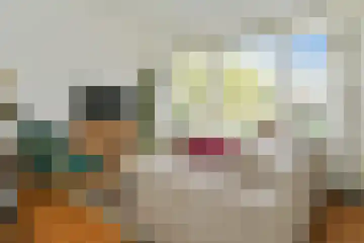Karel de Grotelaan 275 Eindhoven thumbnail 6