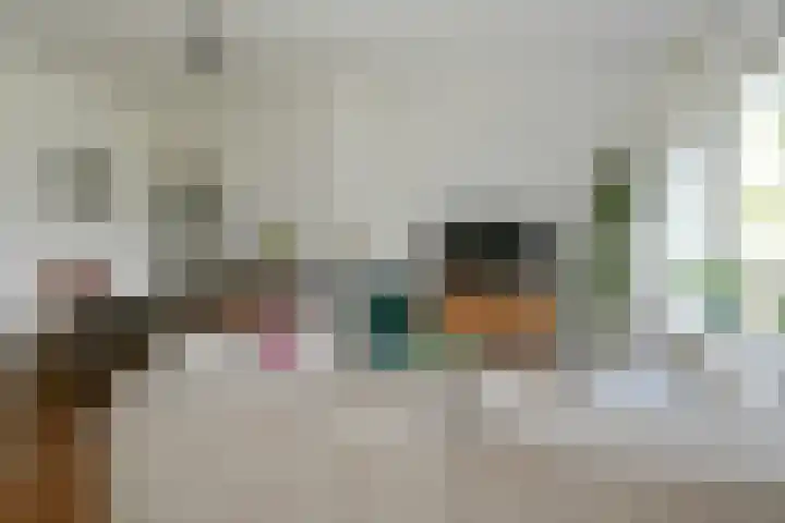 Karel de Grotelaan 275 Eindhoven thumbnail 7