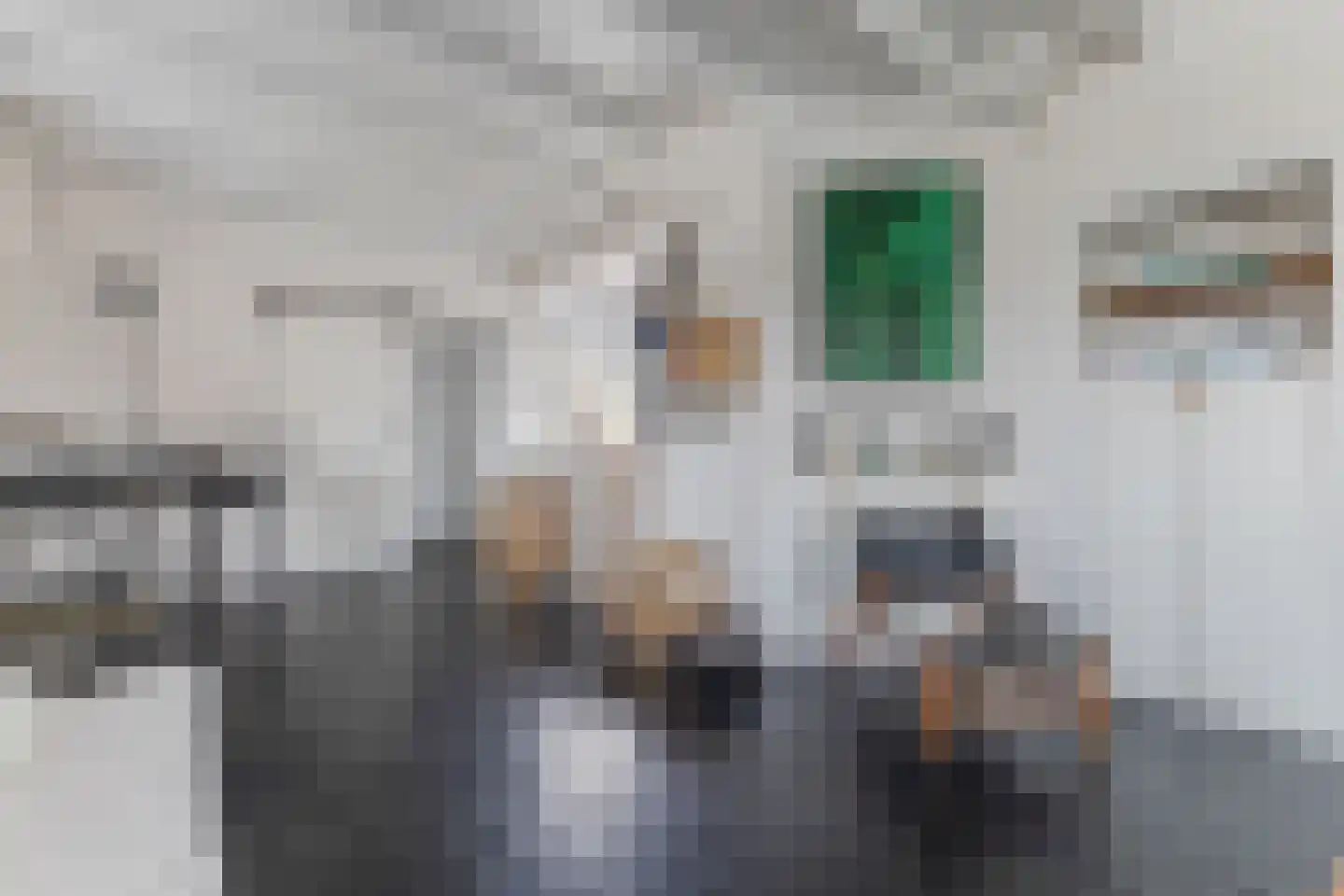 Karel de Grotelaan 28 Bergen (NH) thumbnail 8