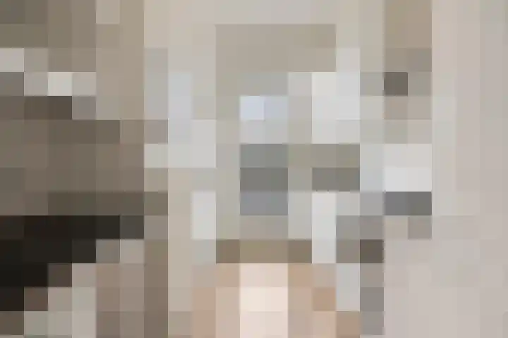Karel de Grotelaan 281 Eindhoven thumbnail 15