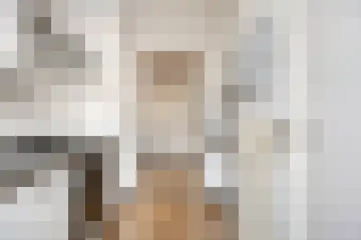 Karel de Grotelaan 281 Eindhoven thumbnail 16