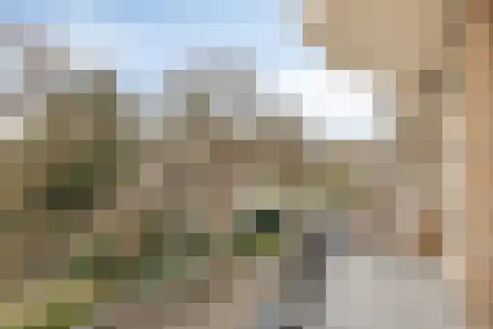Karel de Grotelaan 281 Eindhoven thumbnail 20