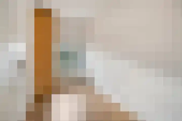 Karel de Grotelaan 281 Eindhoven thumbnail 22