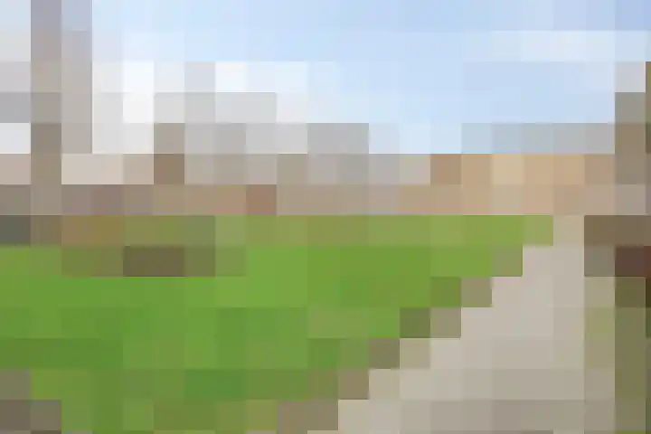 Karel de Grotelaan 281 Eindhoven thumbnail 25