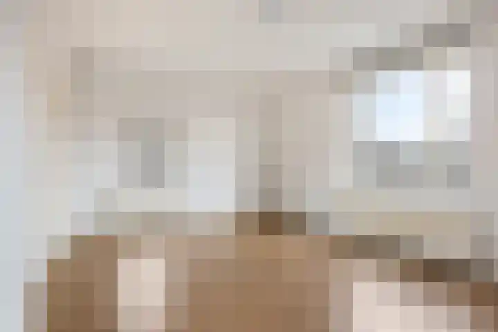 Karel de Grotelaan 281 Eindhoven thumbnail 4