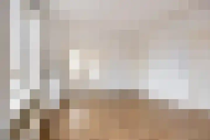 Karel de Grotelaan 281 Eindhoven thumbnail 5
