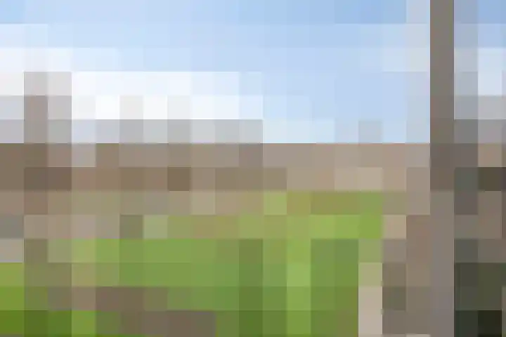 Karel de Grotelaan 281 Eindhoven thumbnail 9