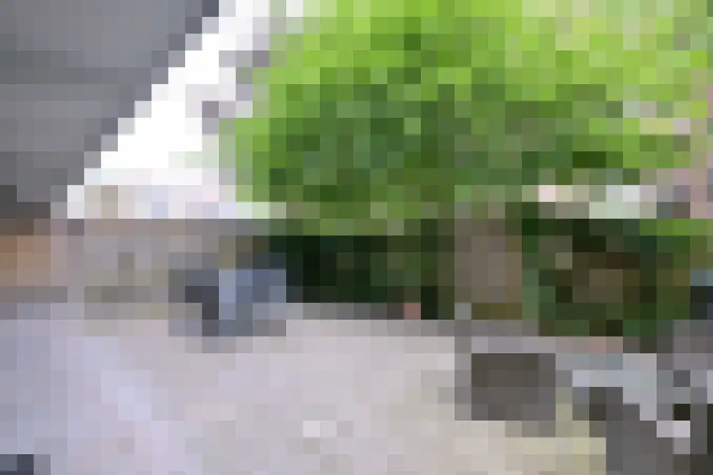 Karel de Grotelaan 291 Deventer thumbnail 11
