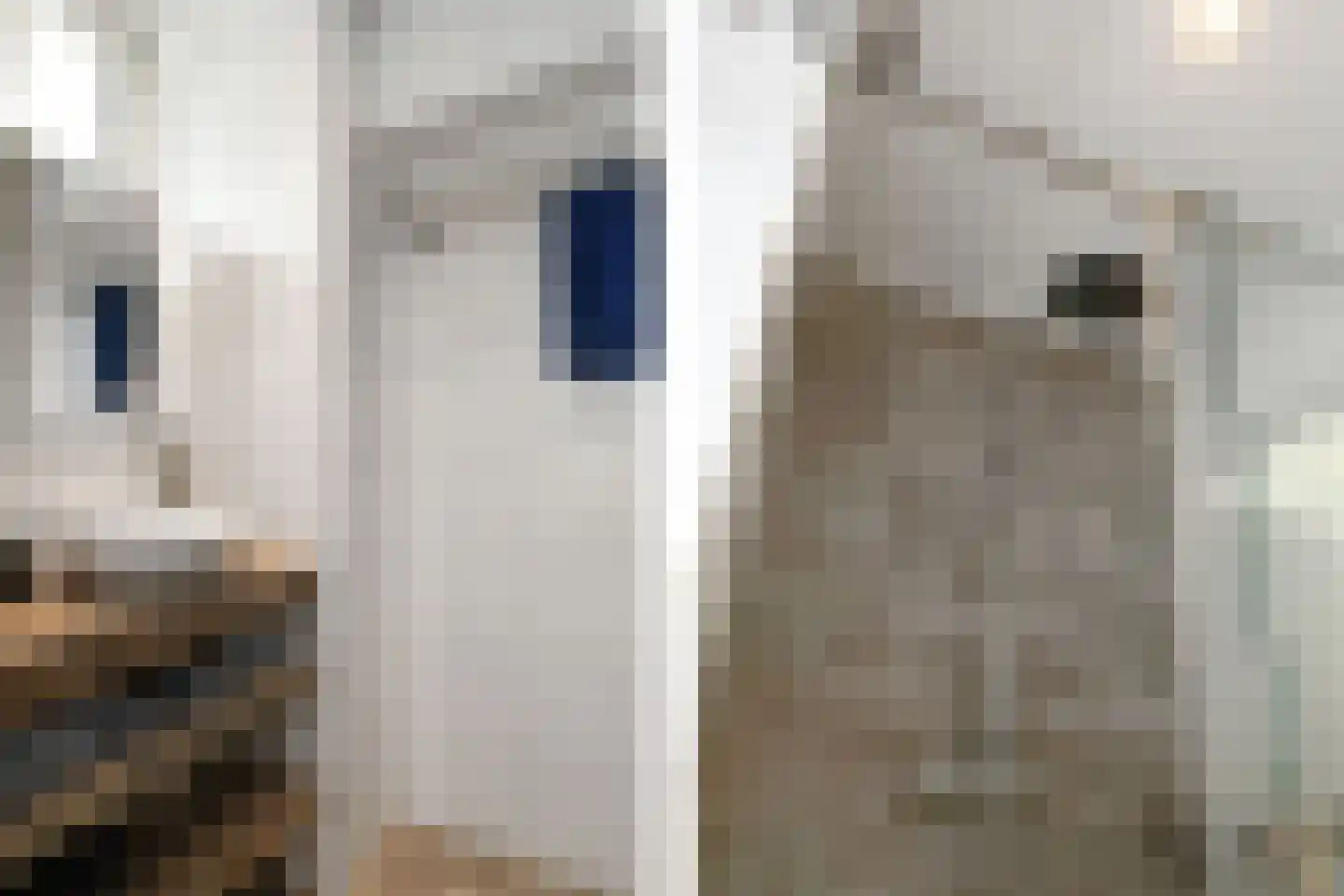 Karel de Grotelaan 291 Eindhoven thumbnail 16
