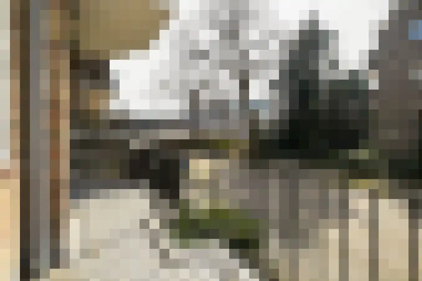 Karel de Grotelaan 291 Eindhoven thumbnail 18