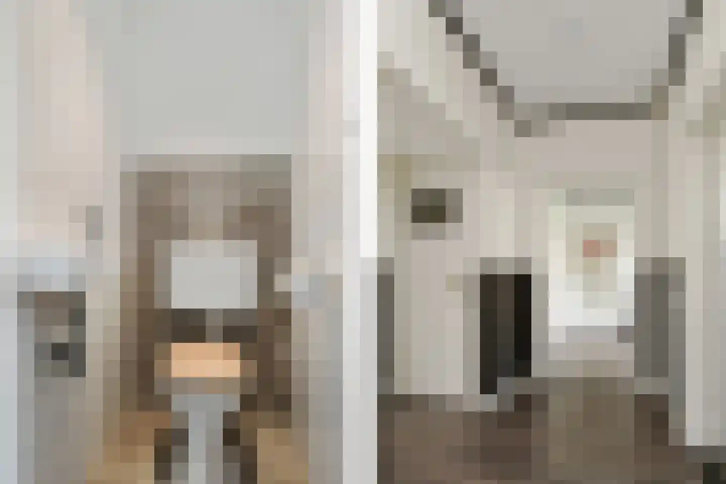 Karel de Grotelaan 291 Eindhoven thumbnail 7