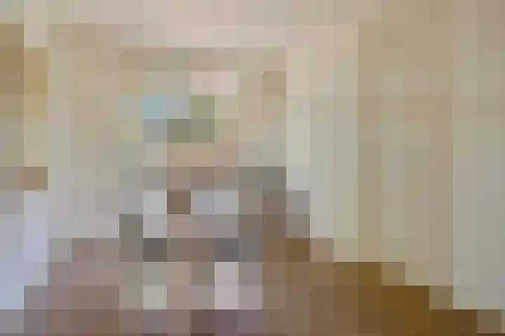 Karel de Grotelaan 293 Eindhoven thumbnail 13