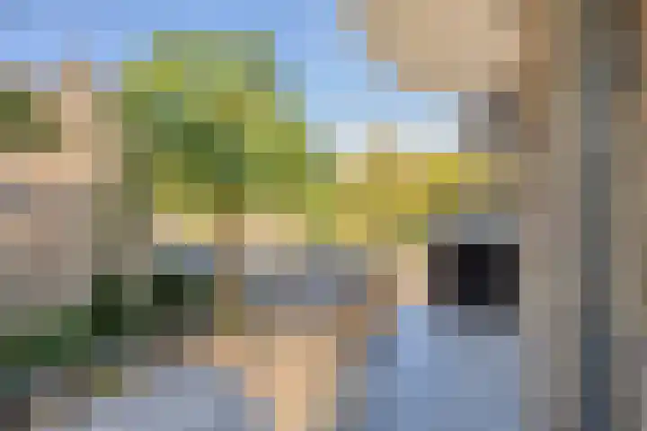 Karel de Grotelaan 293 Eindhoven thumbnail 15