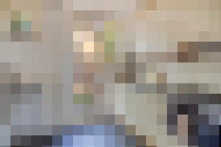 Karel de Grotelaan 293 Eindhoven thumbnail 18