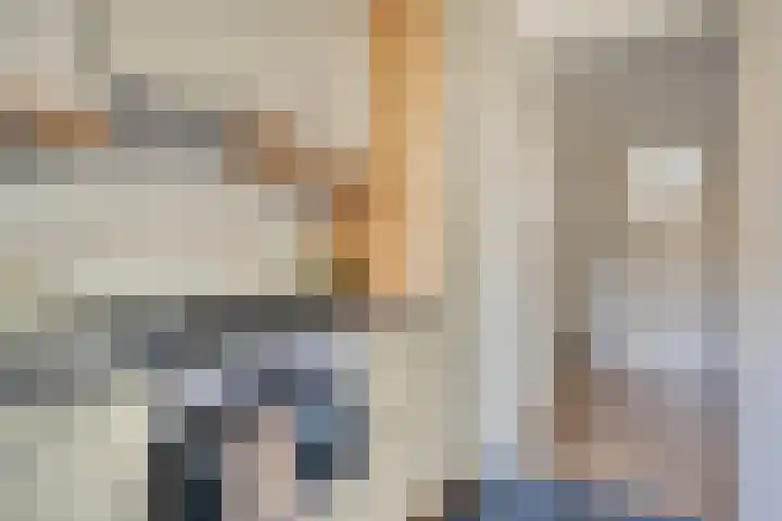 Karel de Grotelaan 293 Eindhoven thumbnail 20