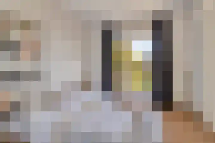 Karel de Grotelaan 293 Eindhoven thumbnail 21