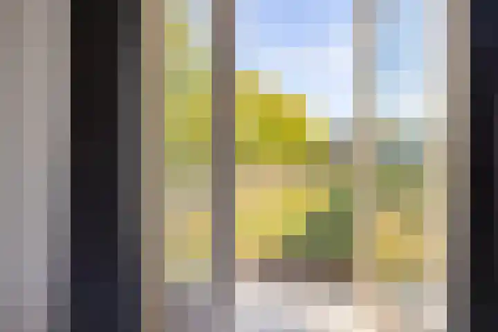 Karel de Grotelaan 293 Eindhoven thumbnail 22