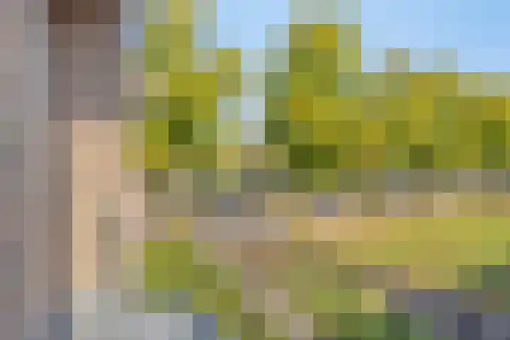 Karel de Grotelaan 293 Eindhoven thumbnail 23