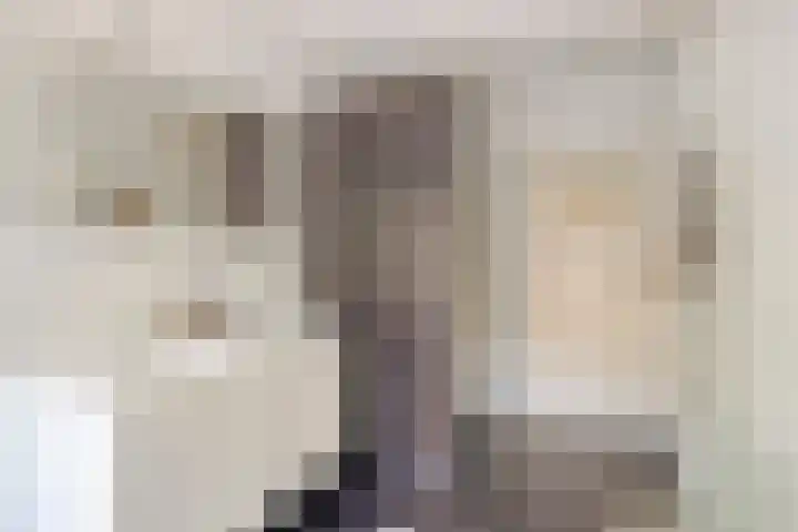 Karel de Grotelaan 293 Eindhoven thumbnail 25