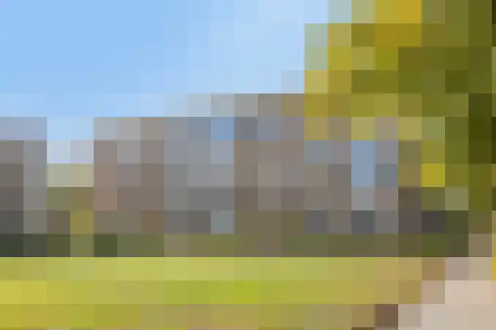Karel de Grotelaan 293 Eindhoven thumbnail 28