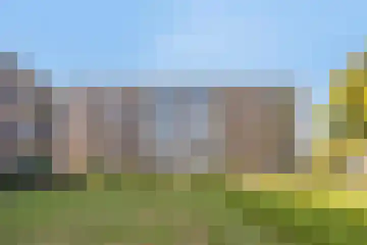 Karel de Grotelaan 293 Eindhoven thumbnail 29