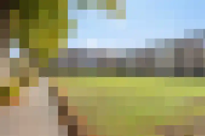 Karel de Grotelaan 293 Eindhoven thumbnail 30