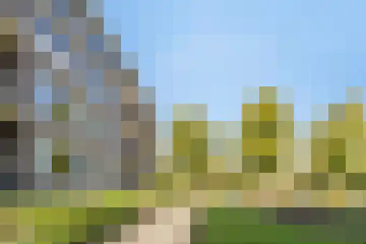 Karel de Grotelaan 293 Eindhoven thumbnail 4