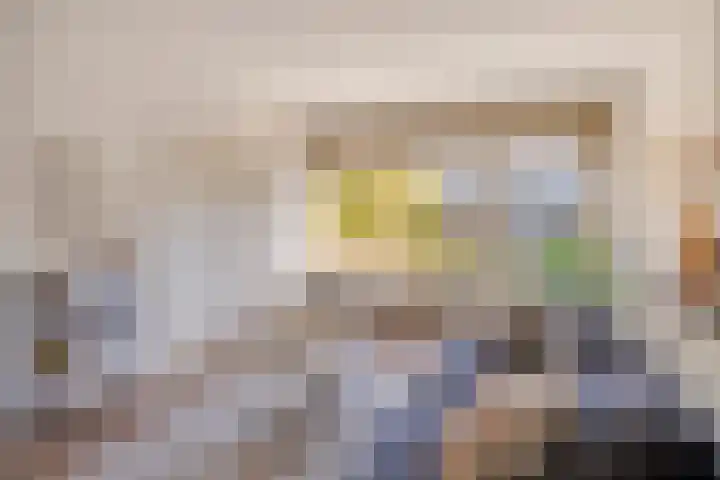 Karel de Grotelaan 293 Eindhoven thumbnail 8
