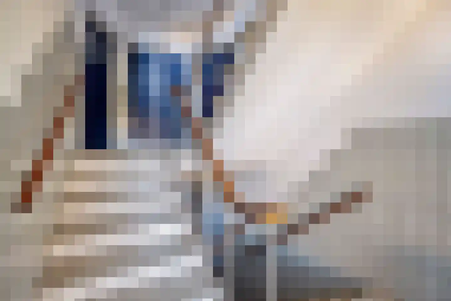 Karel de Grotelaan 299 Eindhoven thumbnail 15