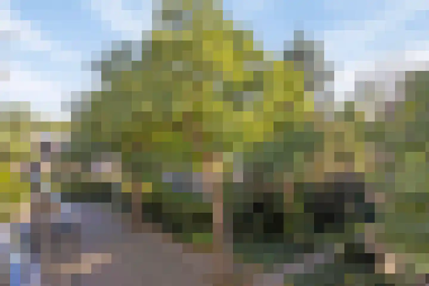 Karel de Grotelaan 299 Eindhoven thumbnail 36
