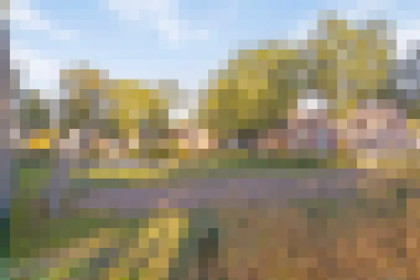Karel de Grotelaan 299 Eindhoven thumbnail 41