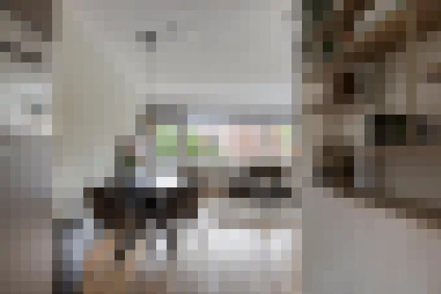 Karel de Grotelaan 301 Deventer thumbnail 11