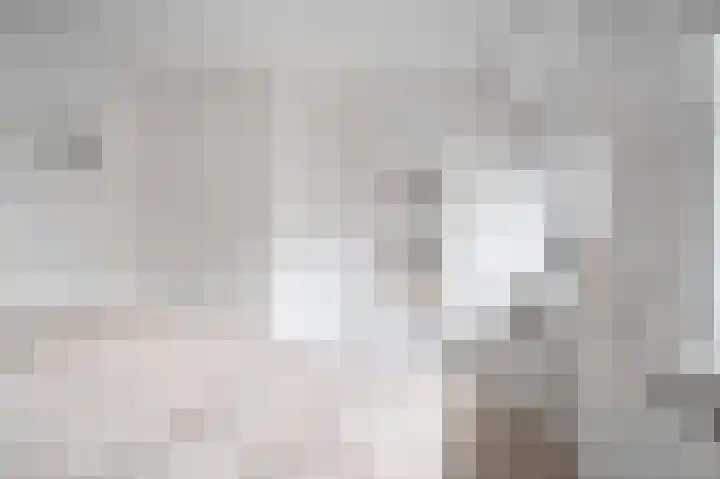 Karel de Grotelaan 307 Deventer thumbnail 12