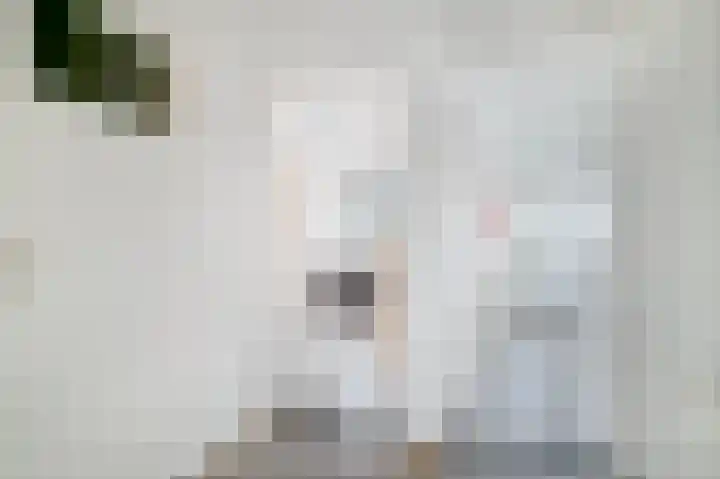 Karel de Grotelaan 307 Deventer thumbnail 18