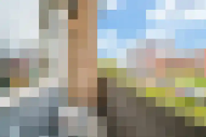 Karel de Grotelaan 307 Deventer thumbnail 4
