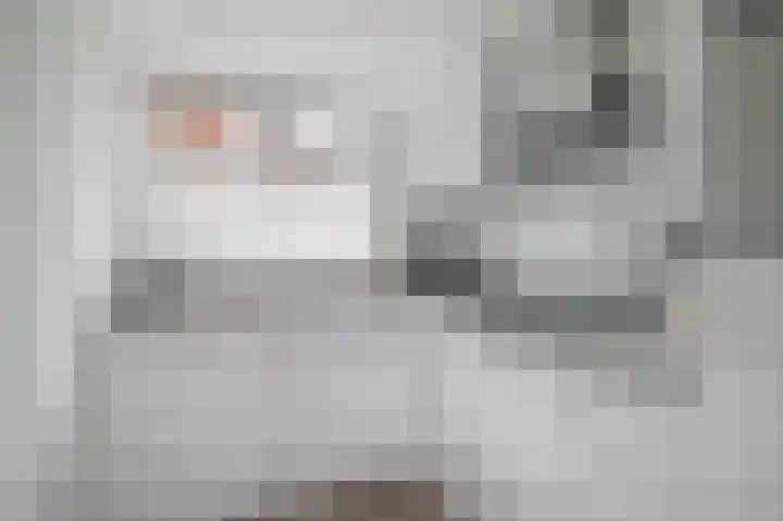 Karel de Grotelaan 307 Deventer thumbnail 8