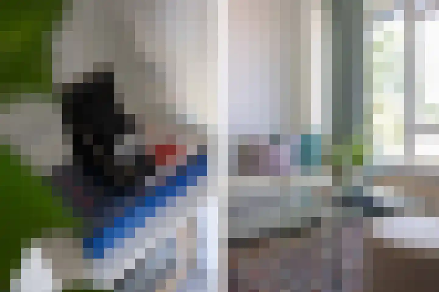 Karel de Grotelaan 309 Eindhoven thumbnail 15
