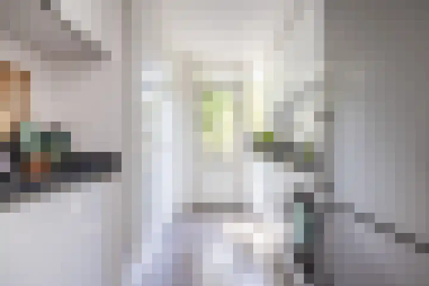 Karel de Grotelaan 309 Eindhoven thumbnail 20