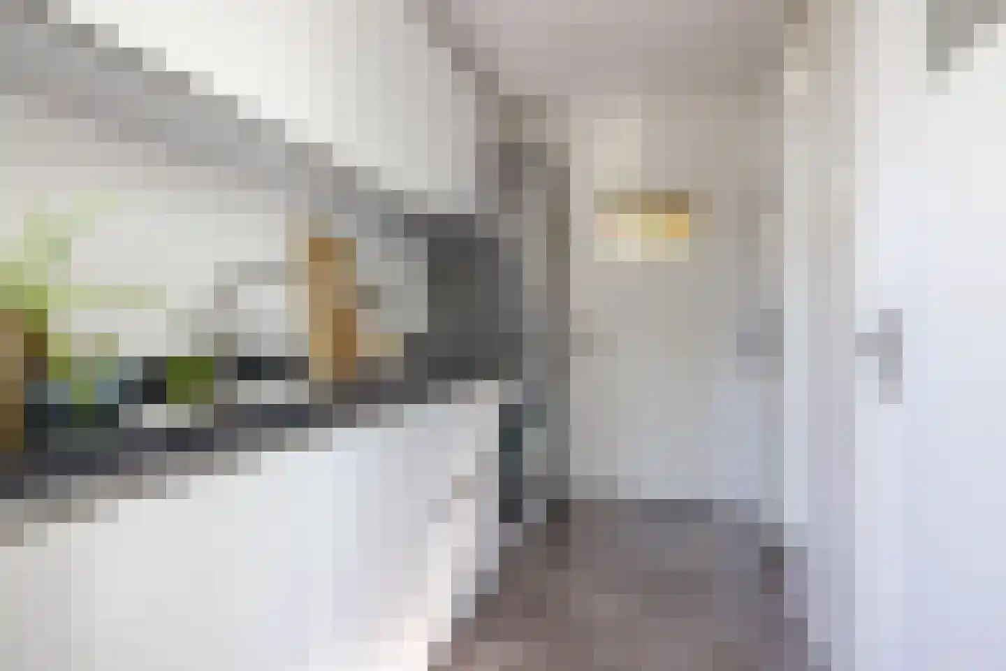 Karel de Grotelaan 309 Eindhoven thumbnail 21