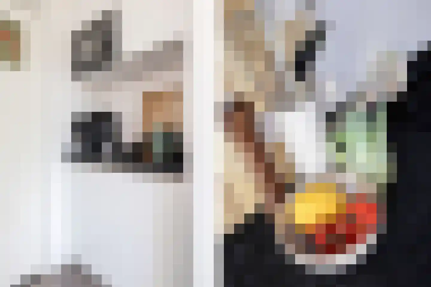 Karel de Grotelaan 309 Eindhoven thumbnail 22