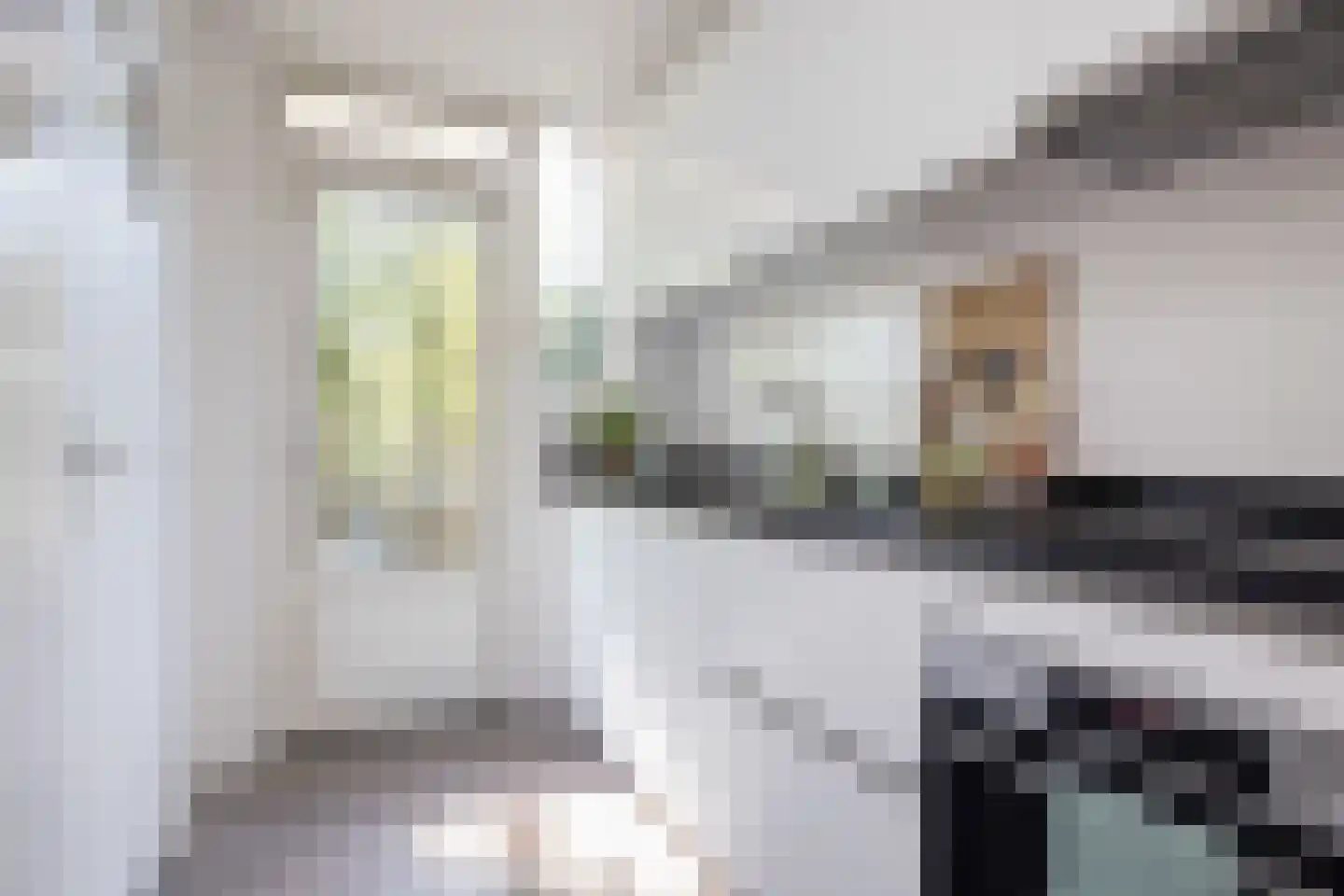 Karel de Grotelaan 309 Eindhoven thumbnail 23